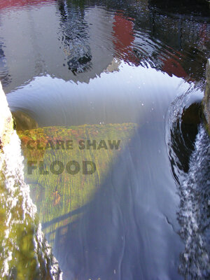 cover image of Flood